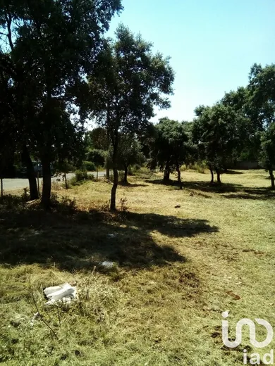 Land  in Malhou, Louriceira e Espinheiro