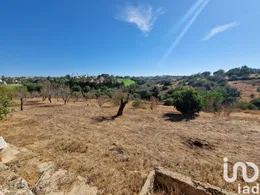 Ferme à Estômbar e Parchal