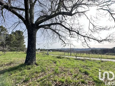 Land at Torre do Terrenho, Sebadelhe da Serra e Terrenho