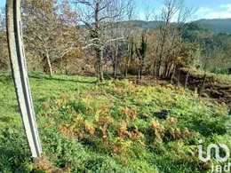 Terreno em Cristoval