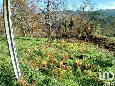 Terreno  em Cristoval