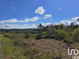 Terrain  à Nossa Senhora da Piedade
