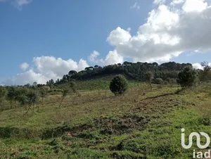 Terreno em São João da Ribeira e Ribeira de São João