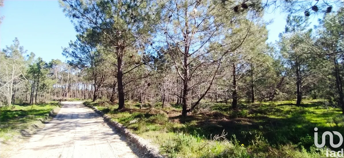 Terreno de 344 887 m² em Vila do Bispo e Raposeira
