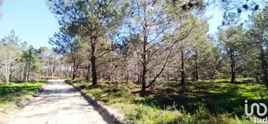 Terreno em Vila do Bispo e Raposeira