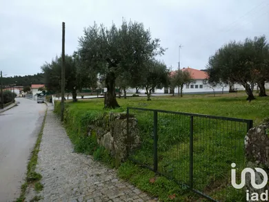 Terreno  em Açores e Velosa
