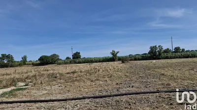 Fotografia 3 de Terreno de 12 500 m² em Pegões