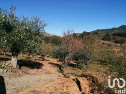 Terrain à Freixo de Espada à Cinta e Mazouco