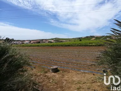 Farm land  in Ventosa