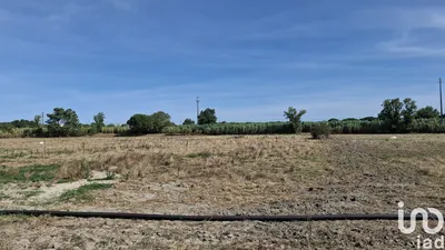 Fotografia 1 de Terreno de 12 500 m² em Pegões