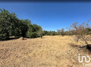 Land  at Luz de Tavira e Santo Estêvão