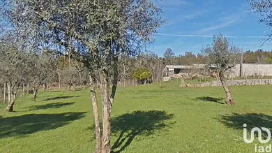 Land at Pedrógão Grande