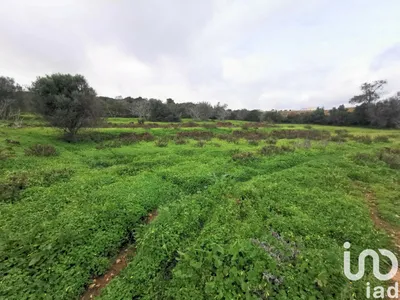 Fotografia 6 de Terreno rústico de 23 970 m² em Mexilhoeira Grande
