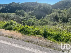 Land  at Santo Isidoro