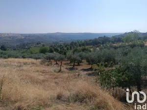 Land  at Lagoaça e Fornos