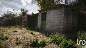 Terreno  em Santa Ovaia e Vila Pouca da Beira
