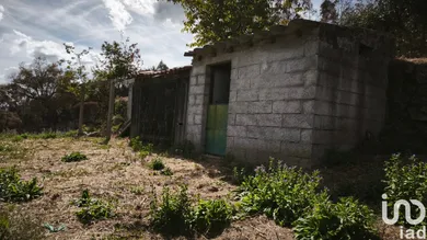 Land in Santa Ovaia e Vila Pouca da Beira