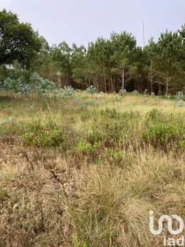 Farm land  in Moita dos Ferreiros