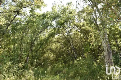 Terreno  em Areias e Pias