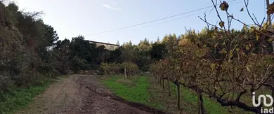 Domain  in Gamil E Midões