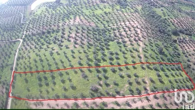 Terreno em Amieira E Alqueva