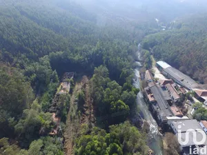 Land at Pinheiro da Bemposta, Travanca e Palmaz