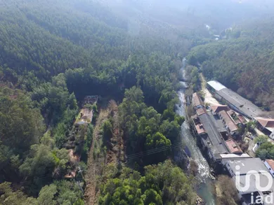 Terreno em Pinheiro da Bemposta, Travanca e Palmaz