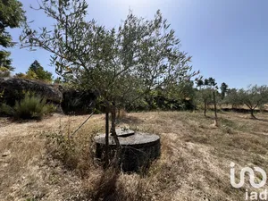 Land at Sernancelhe e Sarzeda