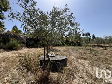 Land at Sernancelhe e Sarzeda