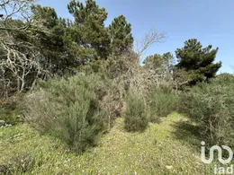 Terreno em Torre do Terrenho, Sebadelhe da Serra e Terrenho