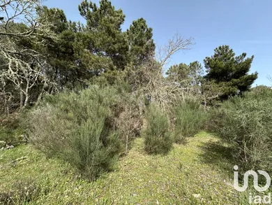 Terreno  em Torre do Terrenho, Sebadelhe da Serra e Terrenho