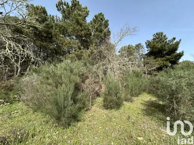 Fotografia 3 de Terreno de 21 741 m² em Torre do Terrenho, Sebadelhe da Serra e Terrenho