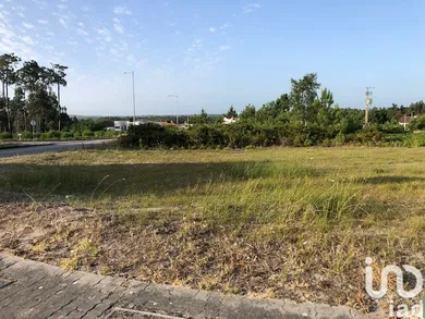 Land  in Vieira de Leiria