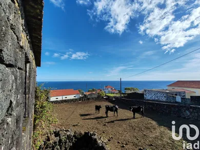 Casa de campo  em Ribeiras
