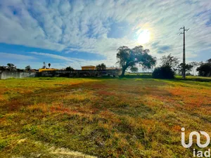 Terreno urbano  em Monte Redondo e Carreira