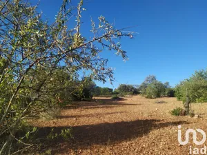 Terreno  em Loulé (São Sebastião)