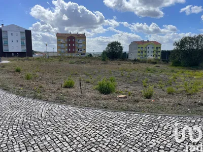 Fotografia 5 de Terreno de 1350 m² em Oliveira do Bairro