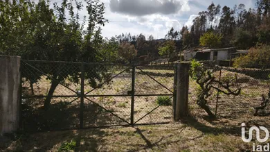 Terreno em Santa Ovaia e Vila Pouca da Beira