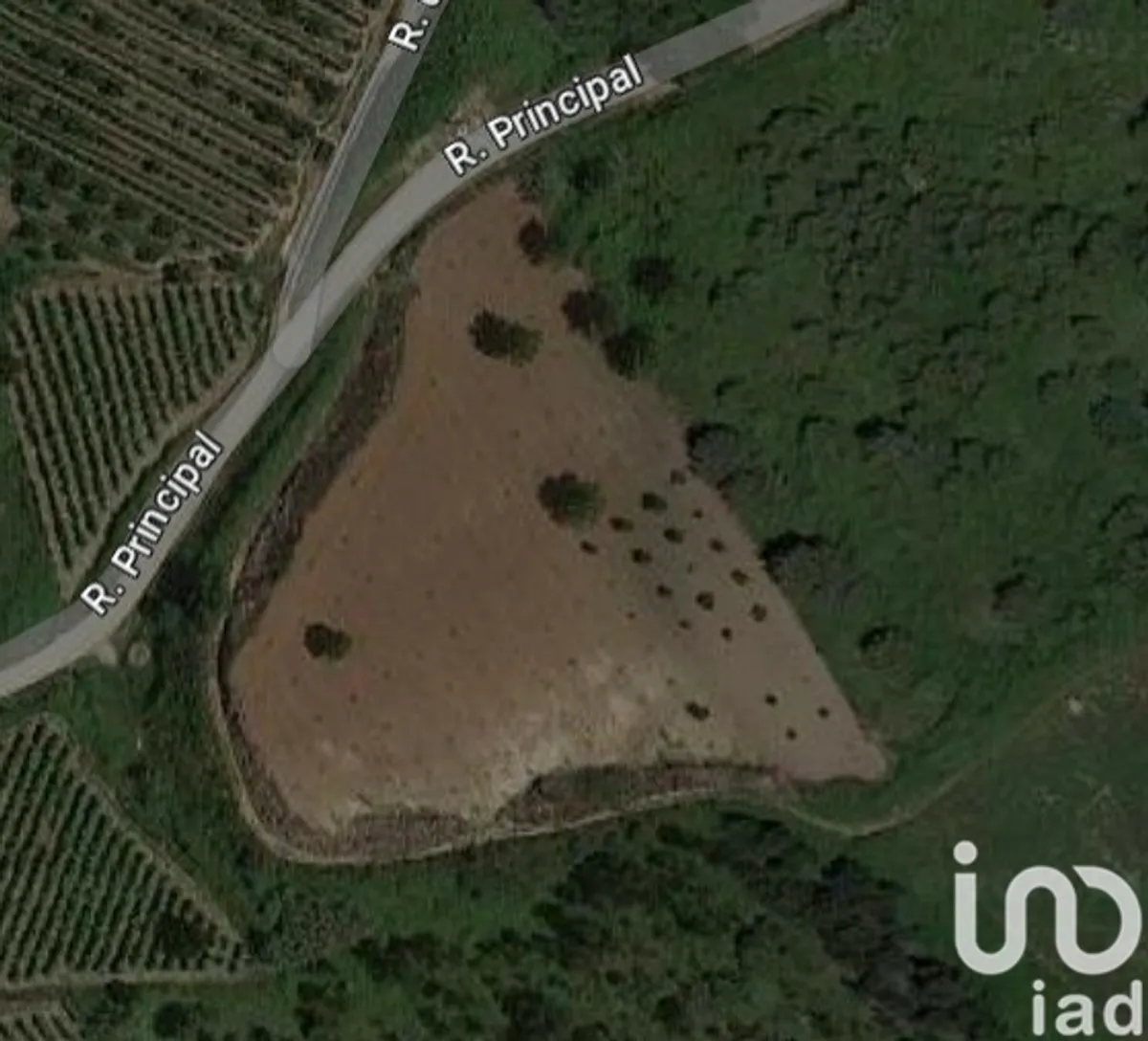 Terreno rústico de 5360 m² em Vilar