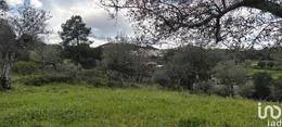 Land in Aranhas