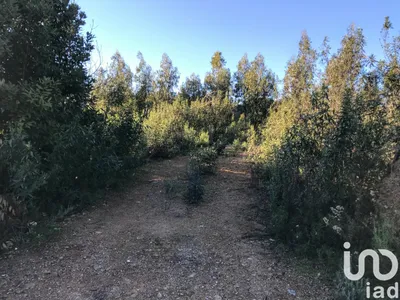 Fotografia 4 de Terreno de 76 240 m² em Alferce
