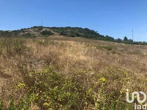 Farm land at Dois Portos e Runa