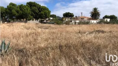 Terreno em Porto Santo