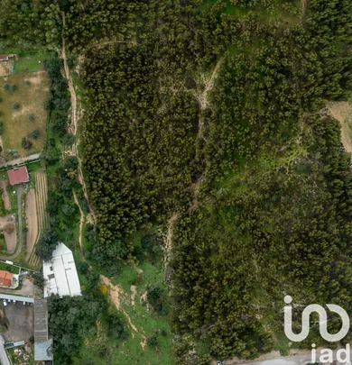 Terreno  em Palmela