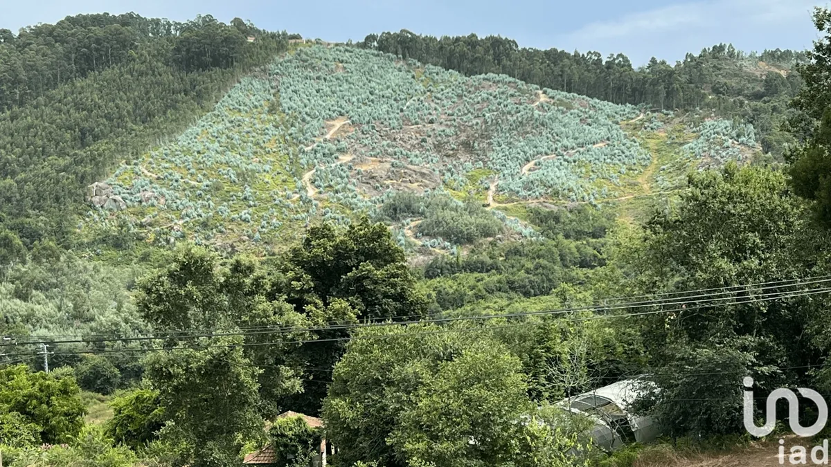 Terreno rústico de 159 460 m² em Banho e Carvalhosa