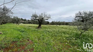 Terreno urbano  em Podentes