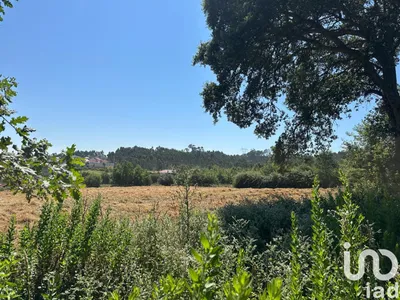 Fotografia 3 de Terreno urbano de 9500 m² em Requeixo, Nossa Senhora de Fátima e Nariz