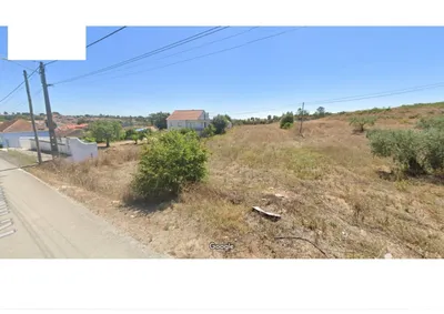 Fotografia 9 de Terreno rústico de 8560 m² em Rio Maior