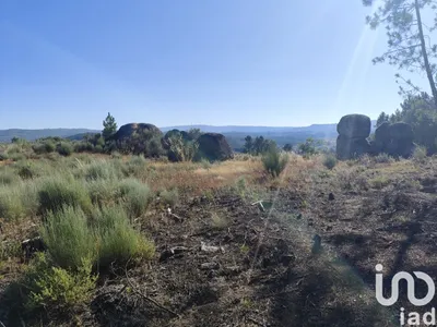 Fotografia 3 de Terreno de 51 606 m² em Sernancelhe e Sarzeda