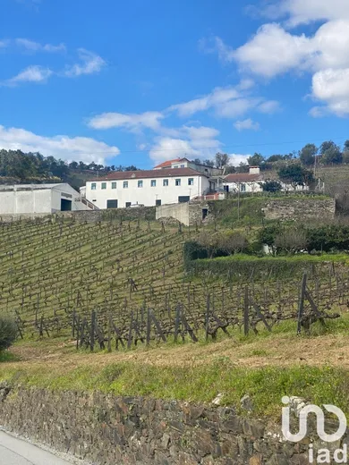 Quinta em Fontelas